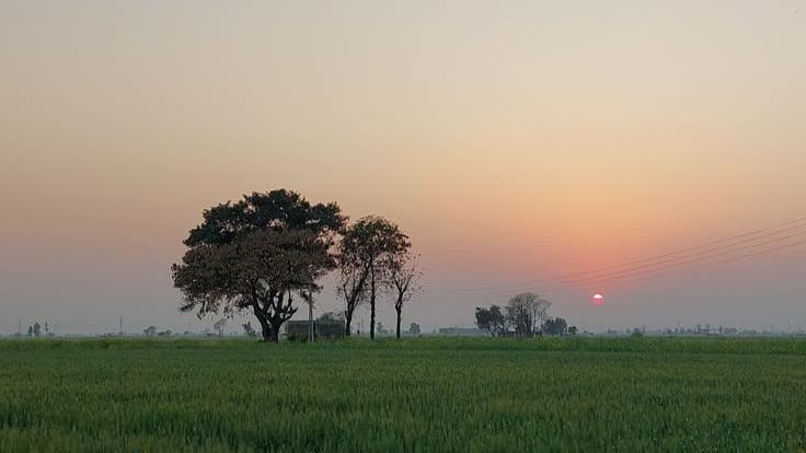 Restaurant hero image 1