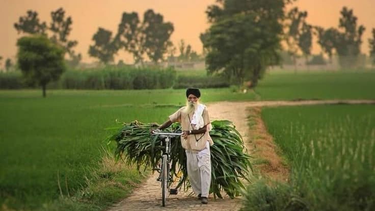 Restaurant hero image 3